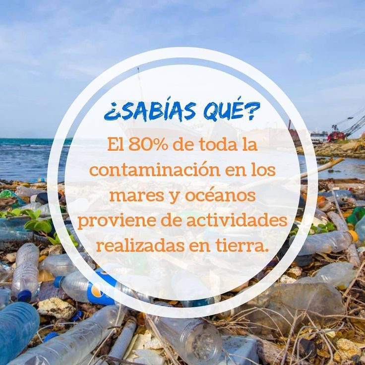 f84409388e4b317cf12ec7038c624a39